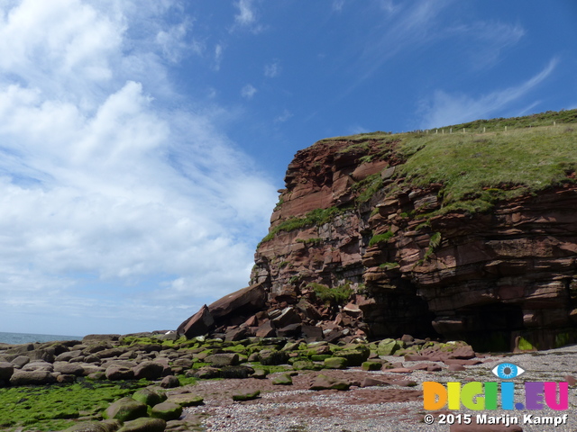 FZ018530 Cliffs near St. Bees Head